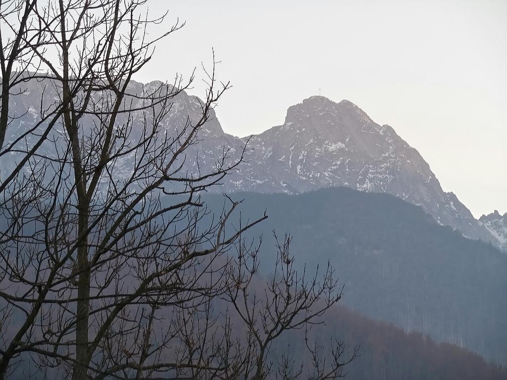 Willa Pod Halami Leilighet Zakopane Eksteriør bilde