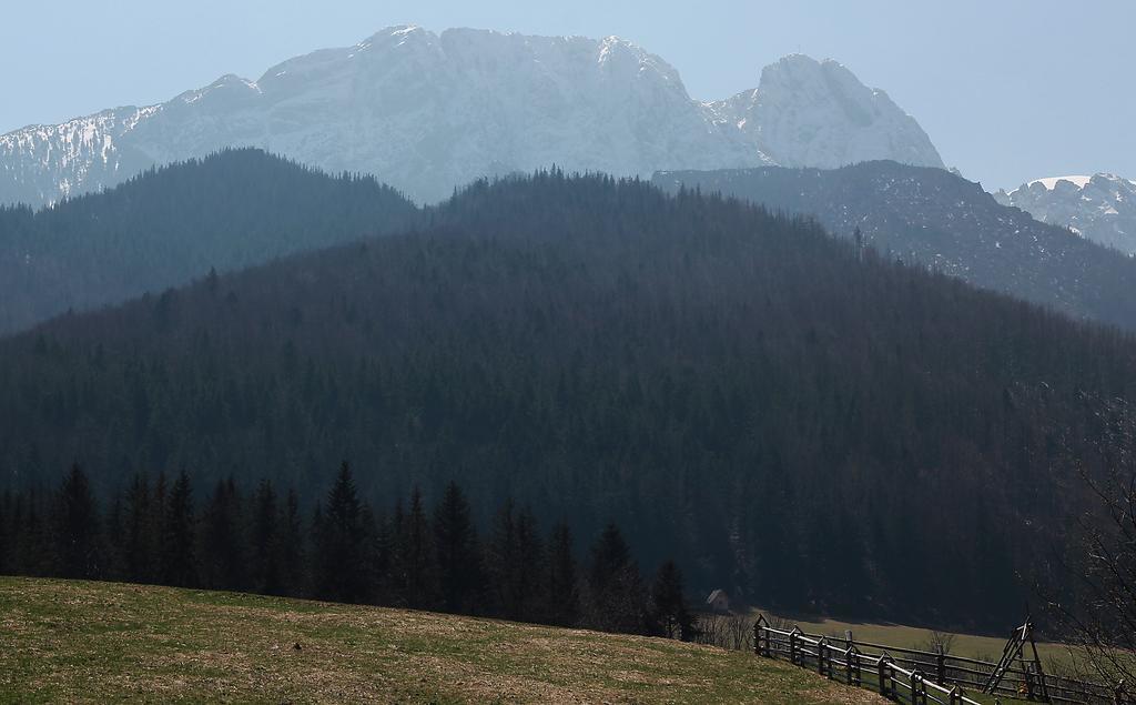 Willa Pod Halami Leilighet Zakopane Eksteriør bilde